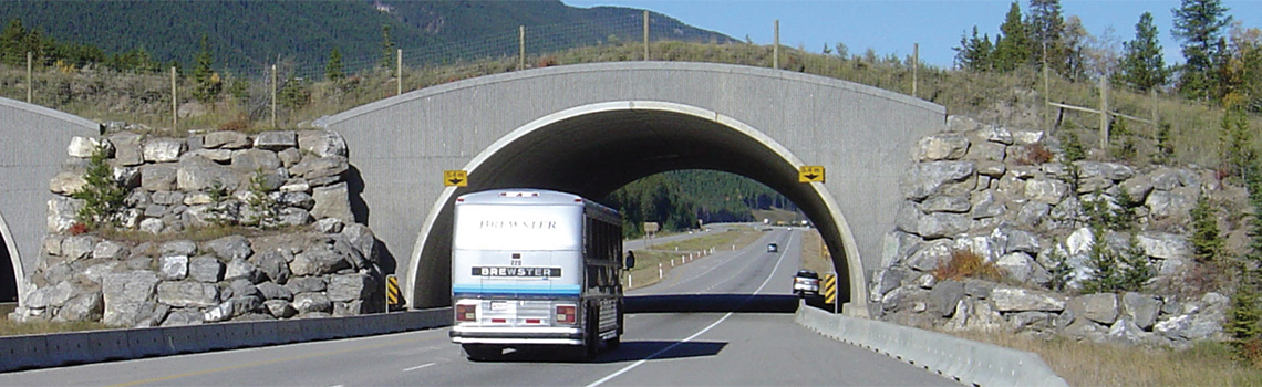 Crossing structures in banff