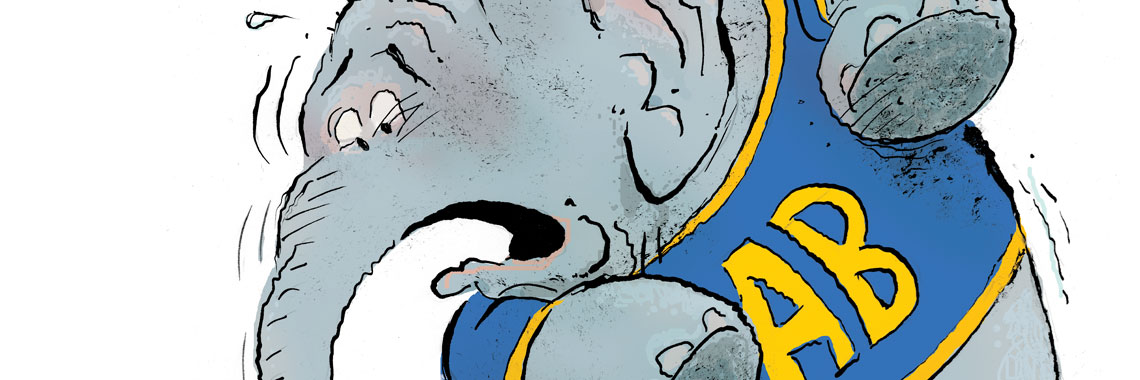 an elephant that is afraid of sales tax