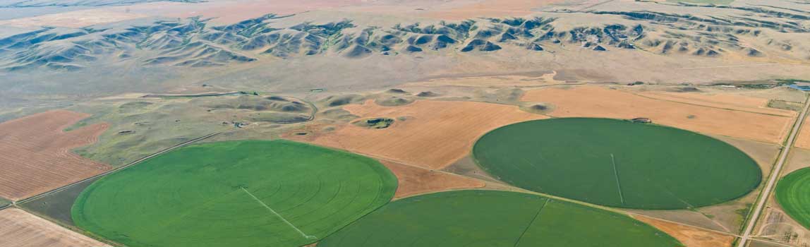 irrigation in alberta