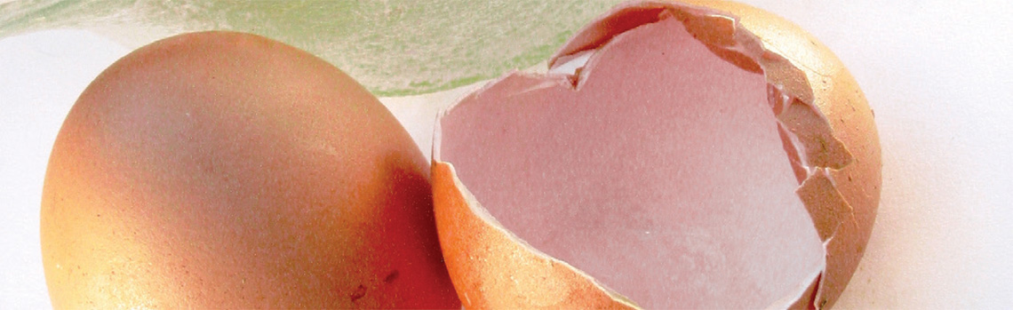 cracked egg a metaphor for a baby