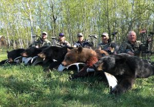 A photo of five hunters and black bears they've just killed