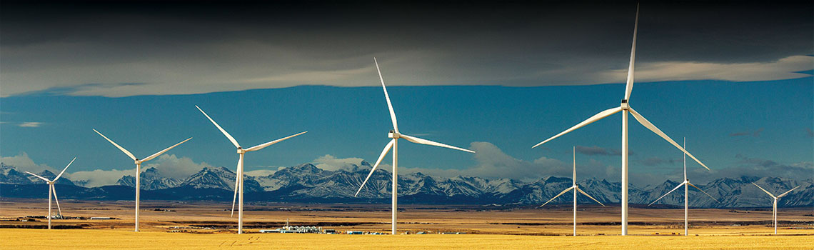 Youseepee No-Vax vs. the Green Genie The UCP protects pristine viewscapes, sort of. A field of Windmills under a cover of clouds