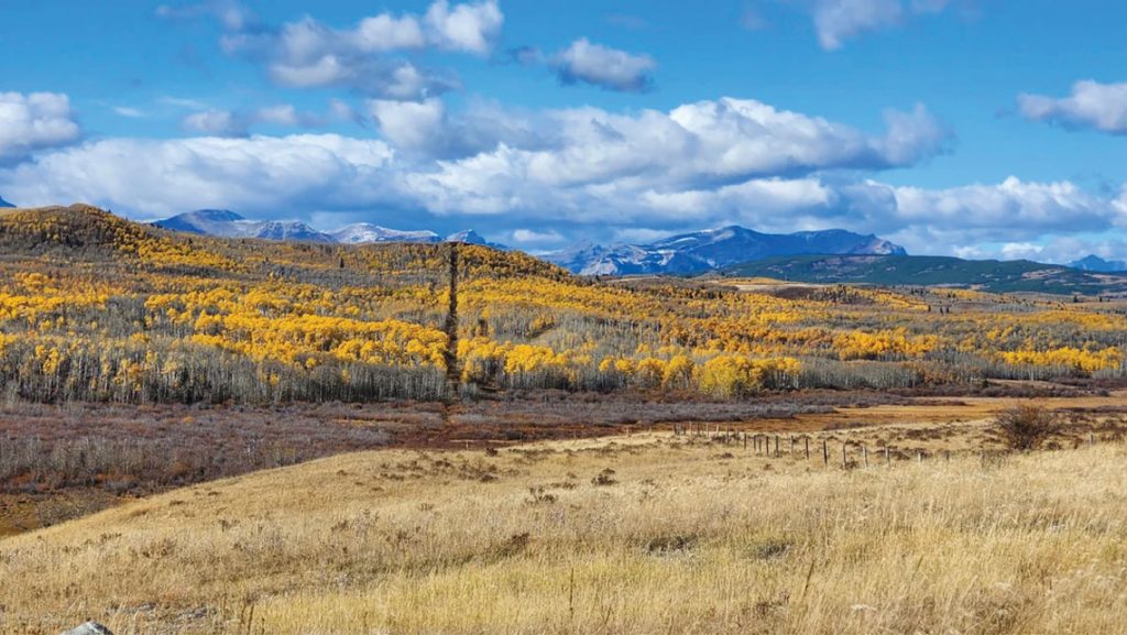 The Alberta Montana Border