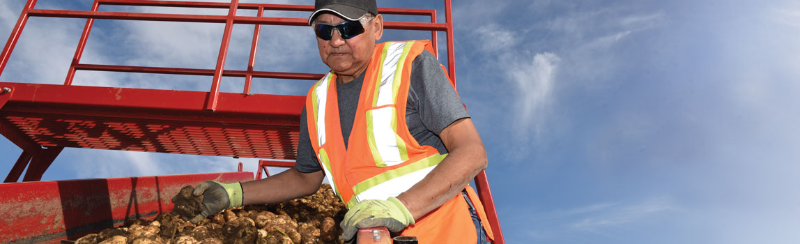 Elmer Crookedneck next to a pallet of potatoes. one of the Cree workers in alberta