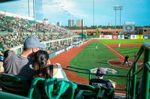 Edmonton Riverhawks, RE/MAX field