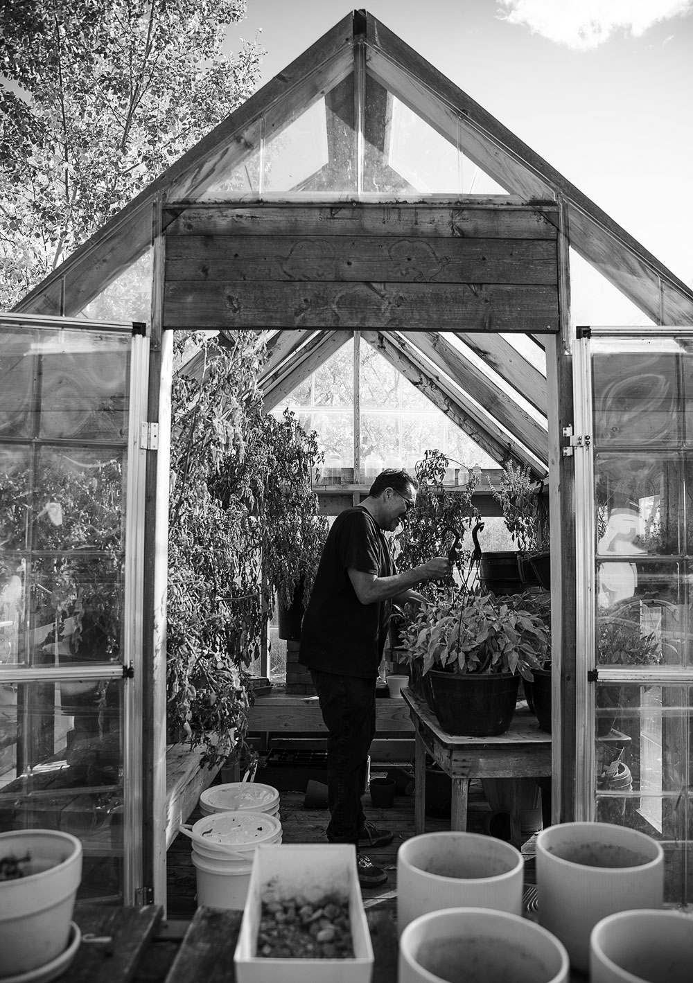 adrian-in-greenhouse