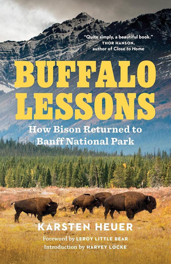 Buffalo Lessons by Karsten Heuer