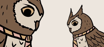 owls-01